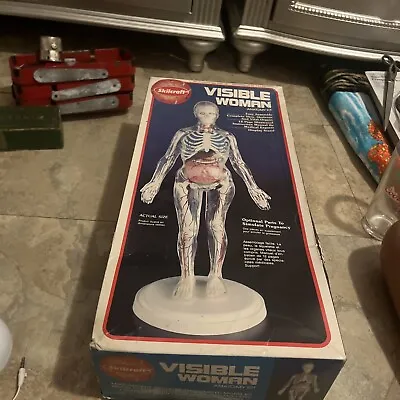 Skilcraft Visible Woman Anatomy Kit Factory Sealed Vintage 74623 Model Kit New • $39.99