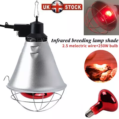 Infrared Heat Lamp Brooder 250w Bulb With Reducer Switch Poultry/chicks/puppies • £22.49