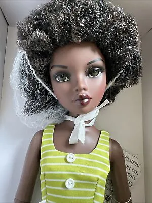 Tonner Vdc Ellowyne Wilde Neema Life’s A Beach Four Afro 16” Fashion Doll Nrfb • $415