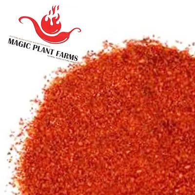 Red Jalapeno Pepper Powder​- 1kg / 2.2lb | 100% Pure Fine Ground Red Chili Bulk • $29.95