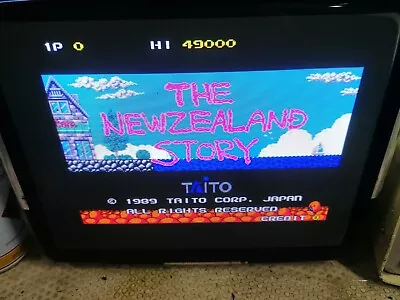 The Newzealand Story Original Taito Pcb • £239.43