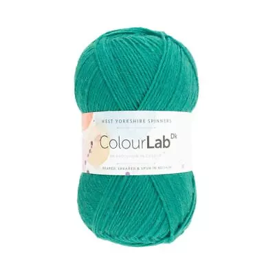 £6.90 • Buy West Yorkshire Knitting Wool Spinners Colour Lab DK Double British Crochet Yarn