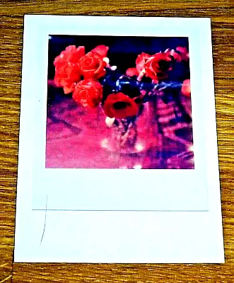 The Impossible Spectrum Project Photograph Postcard ~ Red Roses In A Vase ~ New • £1.50