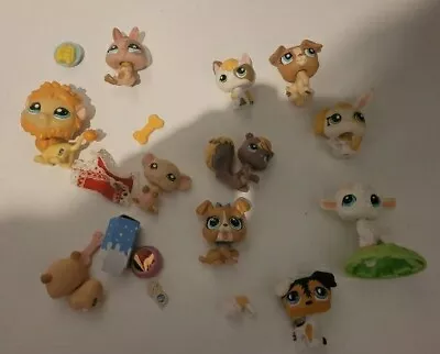 Littlest Pet Shop LPS Bundle Of Pets Cats Dogs Squirrel Birds Etc Worldwide 2 • £22.99