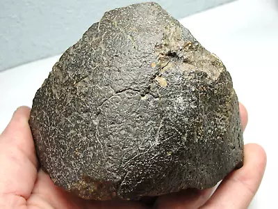 Meteorite - Oriented - Top Quality - Rare Orientation - SLS-1901 - 921.0g Superb • $322.95