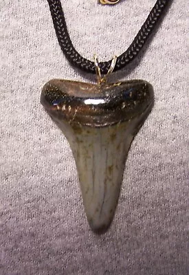 Mako Shark Tooth Shark Teeth Necklace Fossil 1 5/8   Wireless Polished Megalodon • $29