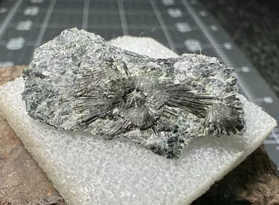 ➤ CHLORITE SCHIST W/ BLACK TOURMALINE CRYSTALS - Oxford Co.Newry Maine VIDEO➤143 • $7.93