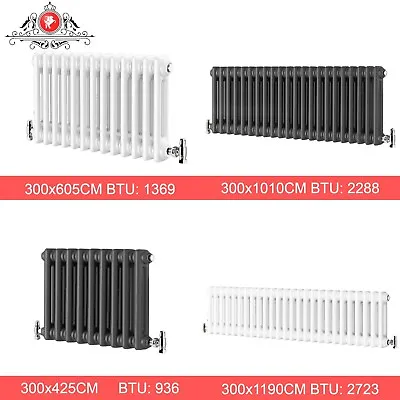 2/3 Column Traditional Cast Iron Style Horizontal Vertical Vintage Radiator • £43.45