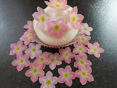 24 PRECUT Edible Pink Forget Me Not Flowers Wafer Paper Cake/cupcake Toppers • £2.85