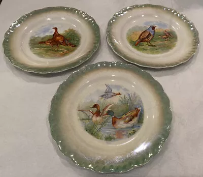 3 Vintage Green Trim Small 8.5” Plates  Bird Duck Quail Turkey • $29.99