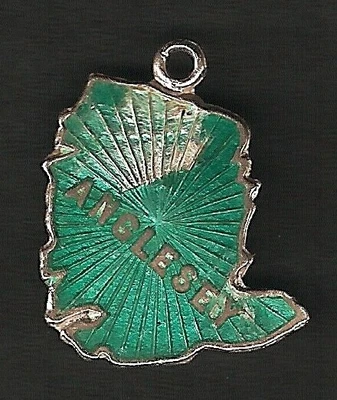 £0.99 • Buy Anglesey ‘map’ - Vintage Silver Enamel Shield Bracelet Charm.