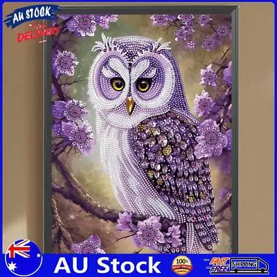 AU 5D DIY Partial Special Shaped Drill Diamond Painting Kit Owl Home Decor 30x40 • $10.39