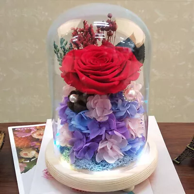 £8.95 • Buy Glass Dome Display Bell Jar Cloche W/ Wood Base For Figure Action Doll Storage