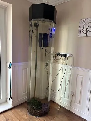 6ft Aquarium • £50