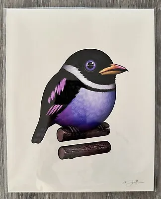 Mike Mitchell - Black And Yellow Broadbill - Color Shift Variant S/N Ed Of 111 • $299.99