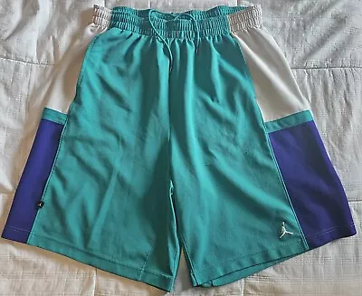 VTG Nike Air Jordan Basketball Shorts Teal Purple Hornets Colors Size XXL • $32