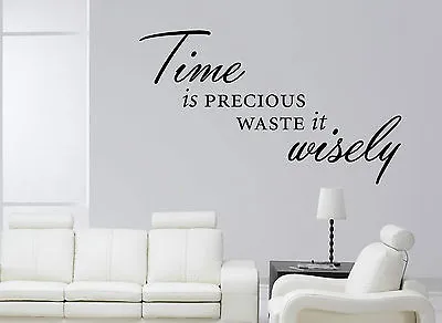 £0.99 • Buy TIME IS PRECIOUS WASTE IT WISELY Wall Art Sticker Quote Decal Modern Transfer