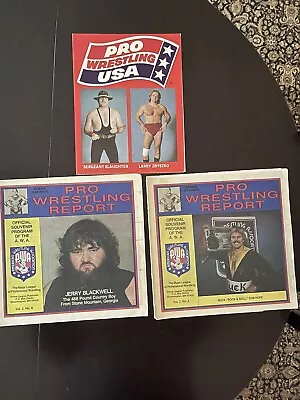 Vern Gagne AWA Pro Wrestling Report Lot RARE W/Lineup Sheets & PW USA Program • $30