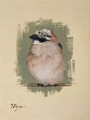 Bird Portrait  Jay - Original Oil Painting By UK Artist J Payne • $74.60