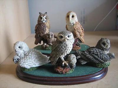 Set Of Five Royal Doulton/country Artists Owls With Chicks On Stand • £49.95