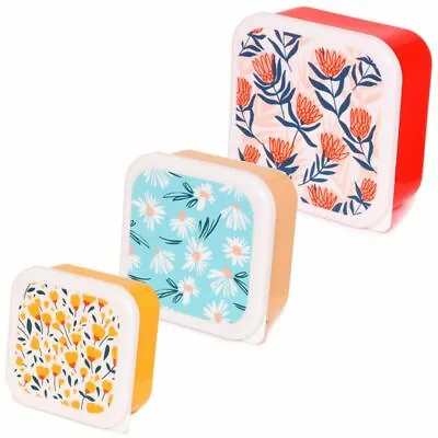 £7.95 • Buy Daisy Flowers Set Of Three Plastic Lunch Sandwich Picnic Boxes Box Food Storage