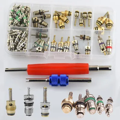 102pcs Car R12 & R134a A/C Air Conditioner Schrader Valve Core Remover Tool Kit • $11.49