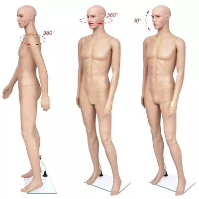 6FT Male Full Body Realistic Mannequin Display Head Turns Dress Form With Base • $79.99