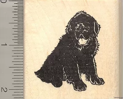 Newfoundland Dog Rubber Stamp H11001 WM • $18