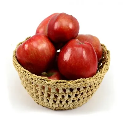 £18.49 • Buy Oval Wicker Bread Basket Storage Egg Fruit Hamper Display Tray 21 ø Cm