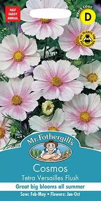 Cosmos Tetra Versailles Flush 60 Fresh Seeds    Cosmos Seeds    Flower Seeds • £2.40