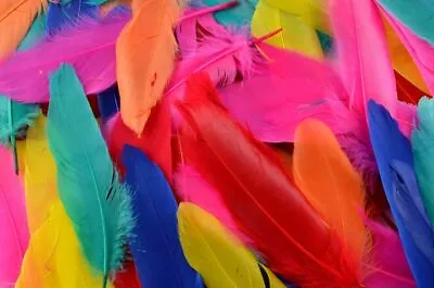 Quill Feathers For Arts And Crafts 72 Per Pack 3cm - 10cm Long Kids Hats  • £3.29