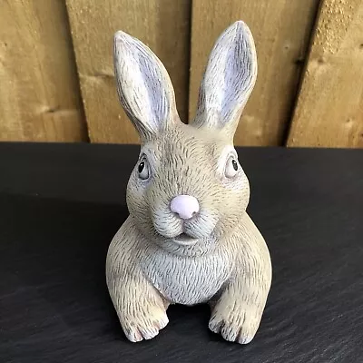 Pop Up Rabbit - Painted Stone Garden Ornament - Rabbit34 • £13