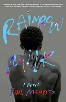 Rainbow Milk: A Novel - Paperback By Mendez Paul - Good • $4.63