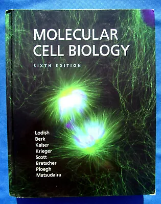 Molecular Cell Biology~Sixth Edition~Arnold Berk~Harvey Lodish~CLEAN~LIKE NEW! • $12.95