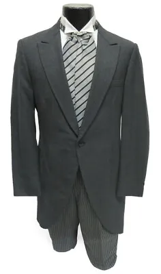 Men's Gray Cutaway Coat Frock Long Tails Morning Dress Wedding Victorian 42L • $89.99