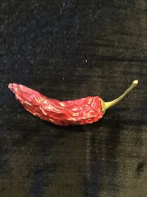 5 Hot Chilli Seeds -  Mexican Guajillo Variety  - London Seller • £4.99