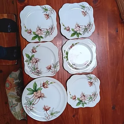 Lot Of 6 Ivory China Meito China Woodrose  Salad Dinner Plates • $38.99