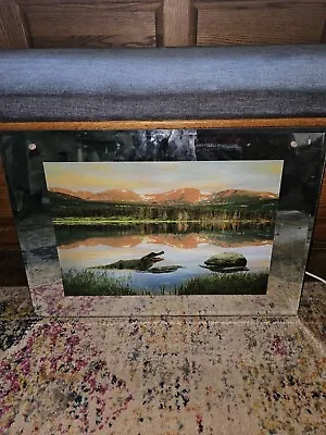 Vintage Animated Wall Art W/ Moving Picture & Nature Sounds - Majestic Alligator • $139.99