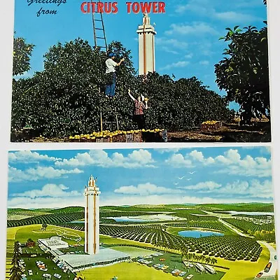 1960s - 1970s Citrus Tower Clermont FL Lookout Building Orange Grove 2 Postcards • $1.20