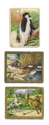 ANIMALS On Lot Of 3 HASSAN & TURKISH TROPHIES CIGS Vintage Tobacco Trading Cards • $7.99