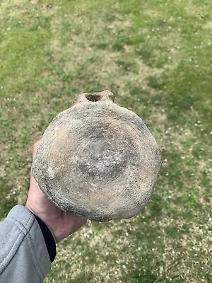 Fossil Miocene Whale Vertebrae From Virginia Bone Megalodon Era • $49.99