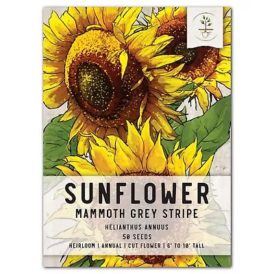 Seed Needs Mammoth Grey Stripe Sunflower Seeds - 50 Heirloom Seeds For Planti... • $6.99