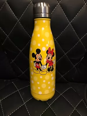 Walt DIsney Minnie & Mickey Mouse Hydroflask Water Bottle • $12.99