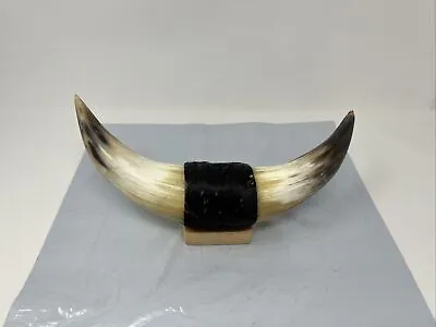 Vintage 11” Mounted Bull Horns • $62