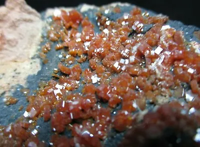 * Vampire Blood Red Vanadinite Crystals On Goethite Mibladen Morocco  • $50