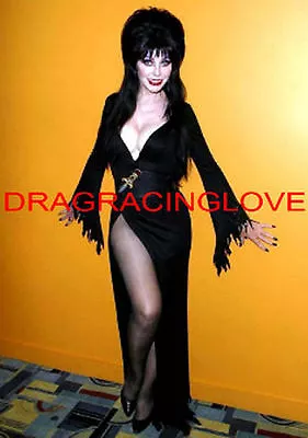 Cassandra Peterson  Elvira   Mistress Of The Dark  HOT  Pin-Up  PHOTO! #(35)  • $9.99