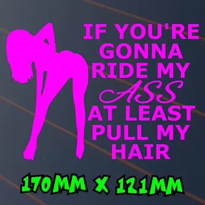 Tailgater Ride My Ass Pull My Hair Sticker Car Decal 4x4 Ute BNS JDM Pink Vinyl • $5.95