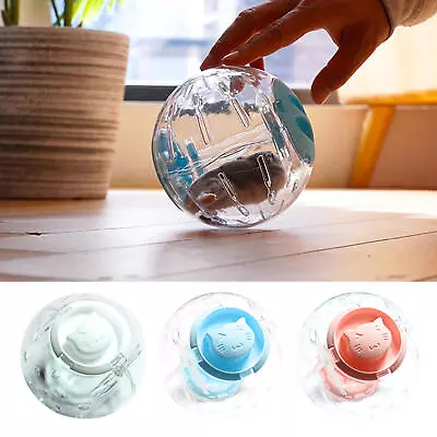 Dwarf Hamster Ball 5.5inch Transparent Ball Running Hamster Wheel Mini Exercise • £9.69