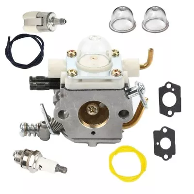 For Echo PB-250 Carburetor Kit Leaf Blower Lawn Mower Parts Spark Plug • $39.94