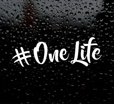 #Onelife  DECAL LOGO CAR VAN LAPTOP VINYL STICKER VW DUB INSTAGRAM One Life JDM • $3.10